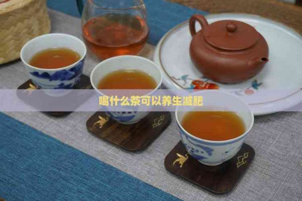 喝什么茶可以养生减肥