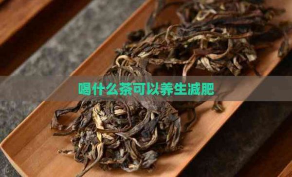 喝什么茶可以养生减肥
