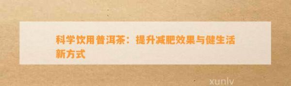 科学饮用普洱茶：提升减肥效果与健生活新方式