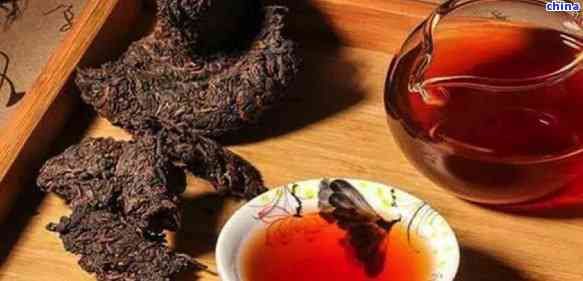 科学饮用普洱茶：提升减肥效果与健生活新方式