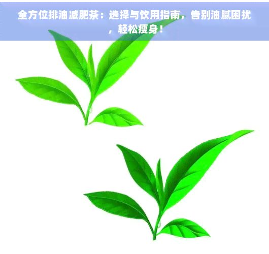 全方位排油减肥茶：选择与饮用指南，告别油腻困扰，轻松瘦身！