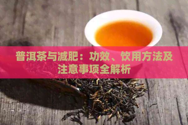 普洱茶与减肥：功效、饮用方法及注意事项全解析