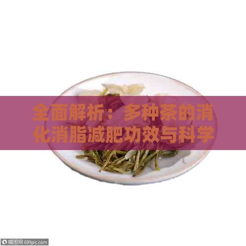 全面解析：多種茶的消化消脂減肥功效與科學(xué)飲用方法