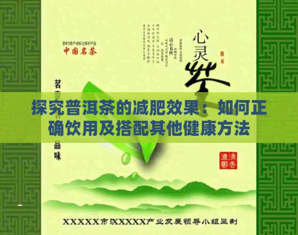 探究普洱茶的減肥效果：如何正確飲用及搭配其他健康方法