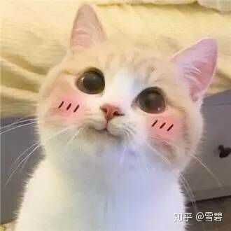 減肥藥最有效_減肥藥有效果的有哪些減肥藥_減肥藥有效成分