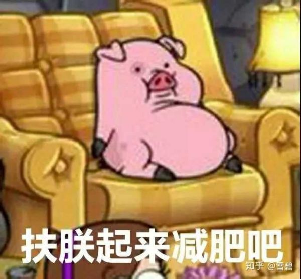 減肥藥有效果的有哪些減肥藥_減肥藥有效成分_減肥藥最有效