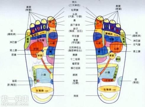 足底减肥穴位解析 方法简单值得一试