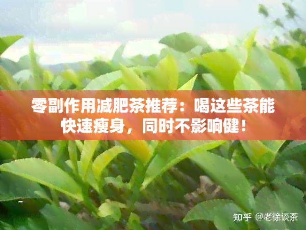 零副作用减肥茶推荐：喝这些茶能快速瘦身，同时不影响健！