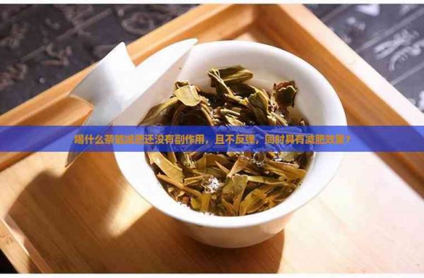 喝什么茶能减肥还没有副作用，且不反弹，同时具有减肥效果？