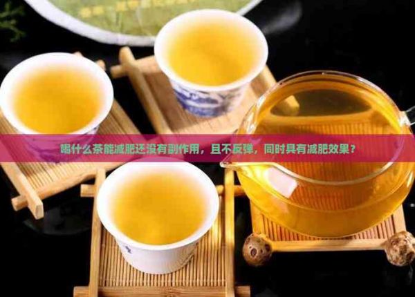 喝什么茶能减肥还没有副作用，且不反弹，同时具有减肥效果？