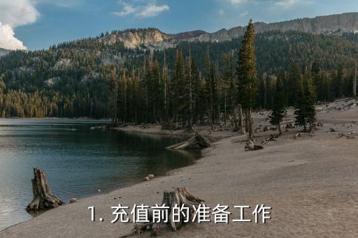 1. 充值前的准备工作