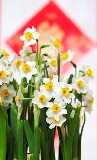 夏日減肥正當(dāng)時(shí)　藥品大PK！