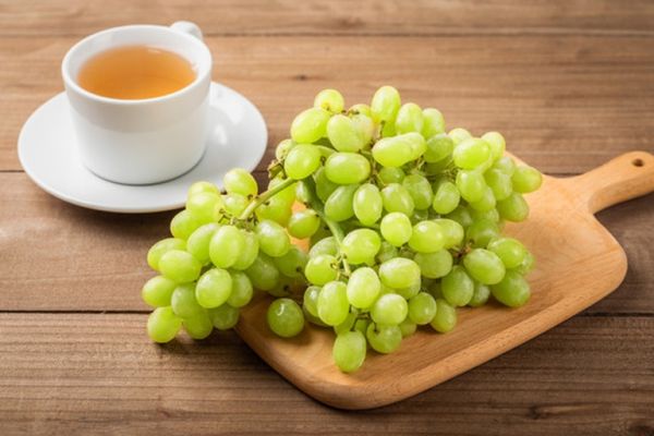 青提與牛奶原料展示