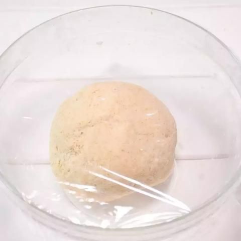 全面教程：自制低脂高蛋白鸡胸肉燕麦粥的详细做法与营养解析