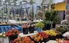 北京10大宝藏批发市场！便宜又好逛