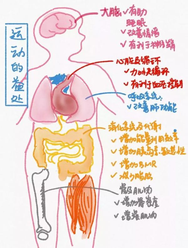 运动可以改变人的认知功能，健康益处最明显的来自于“从无到有”