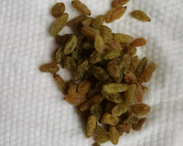 純奶手撕吐司的做法 步驟1