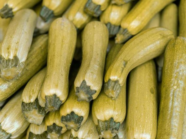 減肥餐前吃菜瓜減脂更快：科學(xué)搭配方法與禁忌提醒
