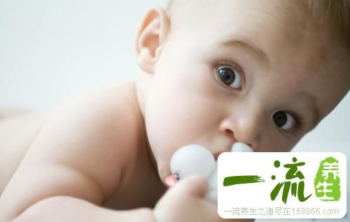 六个月辅食