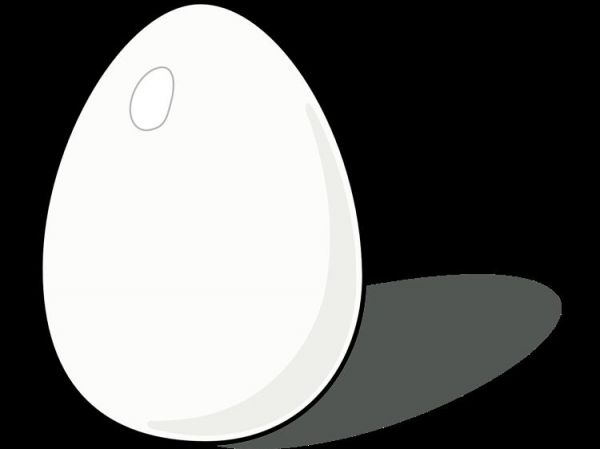 雞蛋營(yíng)養(yǎng)真相：科學(xué)食用指南