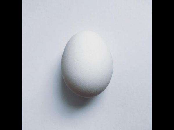 科学摄入蛋白质：不同人群的营养指南
