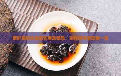 荷叶茶的功效和作用及禁忌：副作用与禁忌症一览