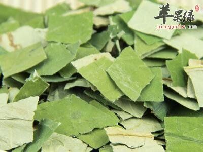 哪些人群不適合食用荷葉