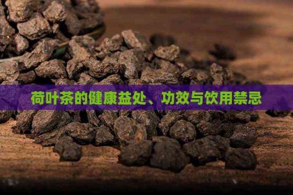荷葉茶的健康益處、功效與飲用禁忌