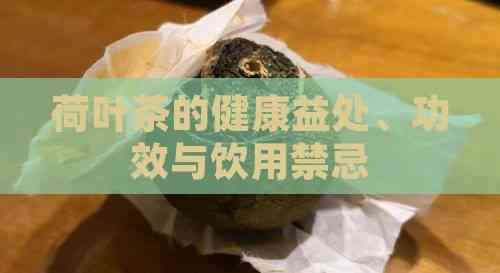 荷葉茶的健康益處、功效與飲用禁忌