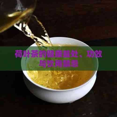 荷葉茶的健康益處、功效與飲用禁忌