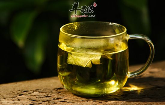 荷葉泡水喝需要注意的五點(diǎn)