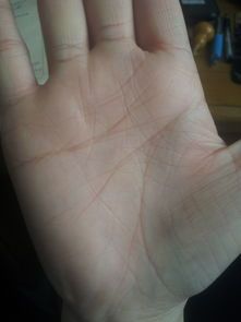 人的掌纹多久变化一次