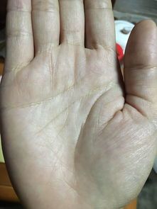 手掌纹会变化吗