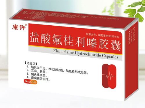 盐酸氟桂利嗪胶囊（天行健+康许+会康）