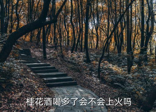  桂花酒喝多了会不会上火吗