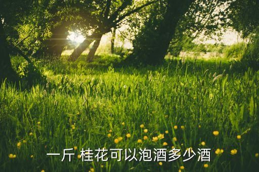 一斤 桂花可以泡酒多少酒