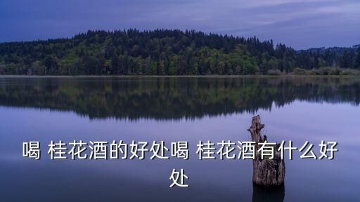 喝 桂花酒的好处喝 桂花酒有什么好处