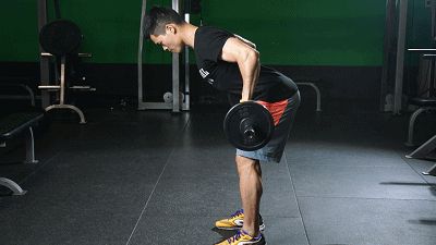 1.gif