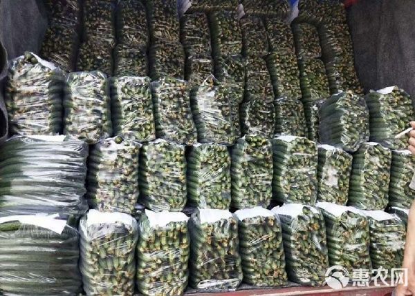 密刺黄瓜 河南商丘夏邑直供 优质蔬菜 绿色健康 口感脆嫩