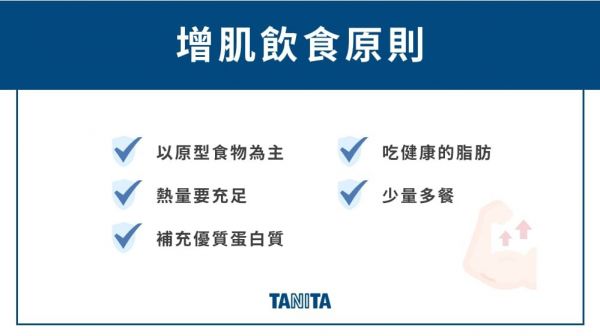 增肌飲食原則