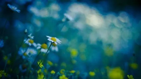 北京健康寶之前有2個手機(jī)號碼 其中一個不再使用 如何進(jìn)行換綁？