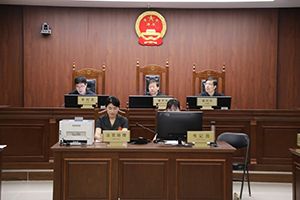 北京金融法院審理首例涉嫌拒絕、阻礙證監(jiān)機構及工作人員依法調查案