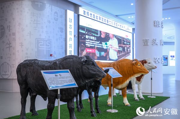 安徽省利辛縣城的徽牛云大數(shù)據(jù)中心。人民網(wǎng)記者 陶濤攝