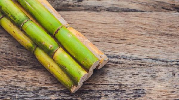 夏至吃哪些水果可以清熱解暑