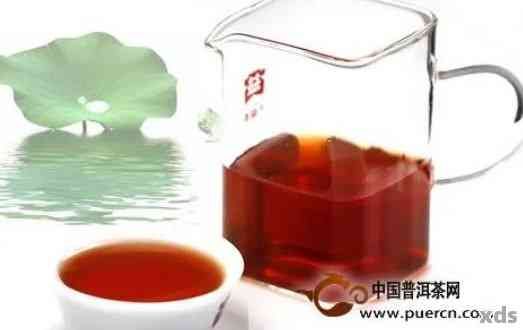 荷葉普洱茶減肥效果：有效還是誤區(qū)？