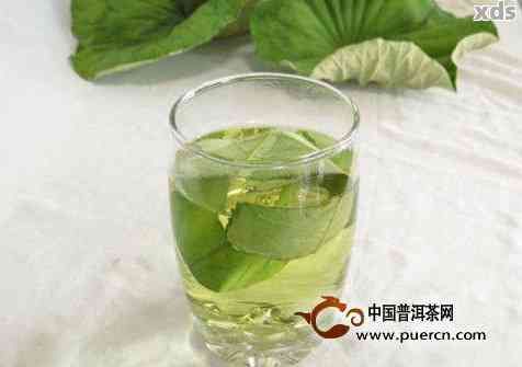 荷葉普洱茶減肥效果：有效還是誤區(qū)？