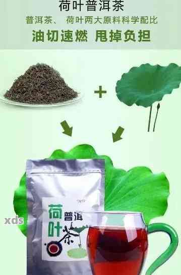 荷葉普洱茶減肥效果：有效還是誤區(qū)？