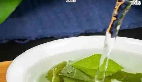 荷葉普洱茶減肥效果：有效還是誤區(qū)？