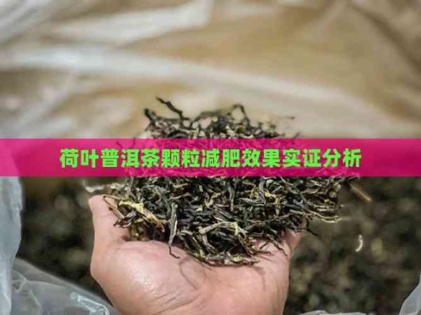 荷葉普洱茶顆粒減肥效果實證分析