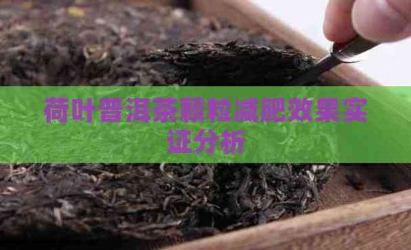 荷葉普洱茶顆粒減肥效果實證分析